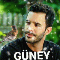 Güney